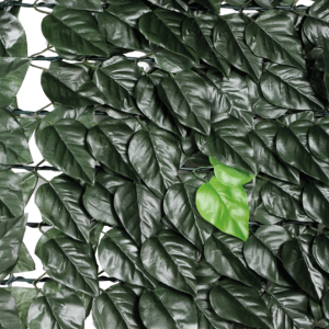 PAPILLON siepe sintetica a foglie di lauro Mt. 1 X 3