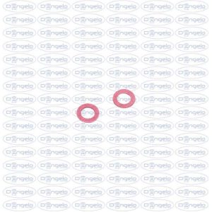 Coppia rondelle in fibra per coperchio punterie