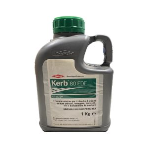 Kerbo 80 EDF