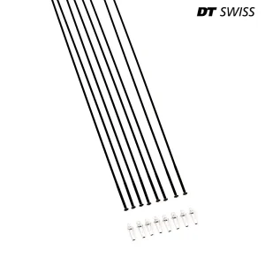 Kit Raggi DT Swiss per Ruote H 1900 SPLINE 29"